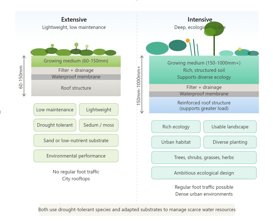 Infographic comparing extensive and intensive green roof systems, showing layered roof structures, soil depths, plant types, maintenance needs, and ecological benefits for each approach.