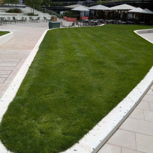 Grass After1