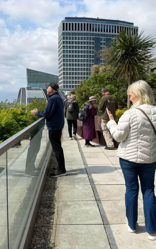Pollinating London Together Rooftop Tour 5