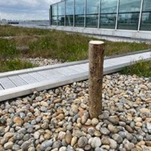 Natural Habitad 1