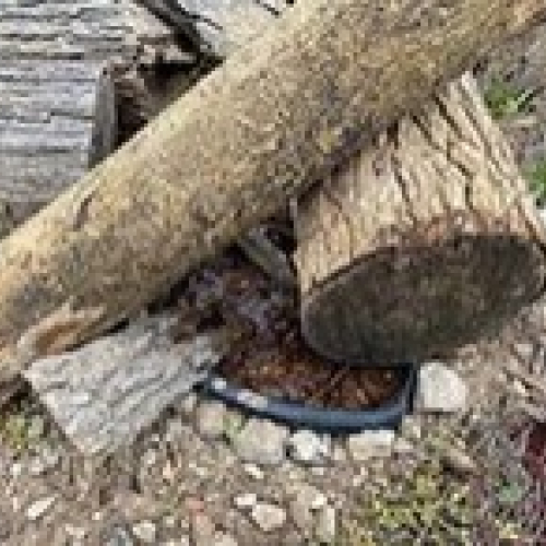 Natural Habitad 4