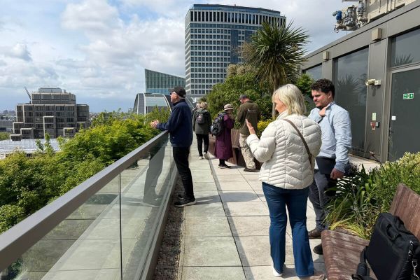 Visitors exploring a biodiverse rooftop garden during the Pollinating London Together tour above Victoria, London.