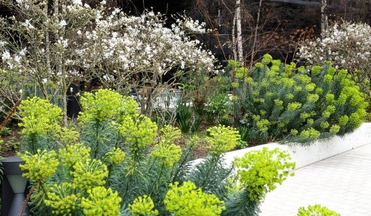 March Garden Preparation