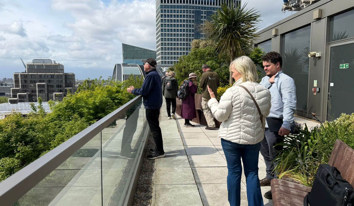 Visitors exploring a biodiverse rooftop garden during the Pollinating London Together tour above Victoria, London.