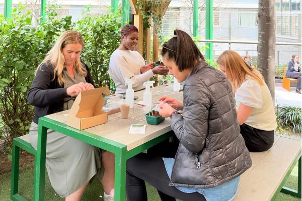 Chilli Planting Workshop