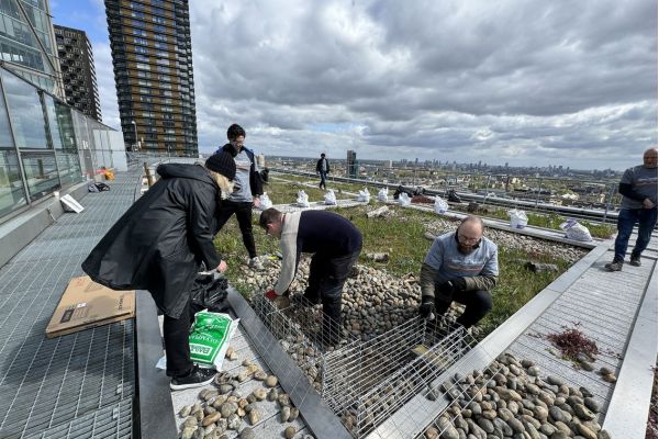 Rooftop at 201 Bishopsgate