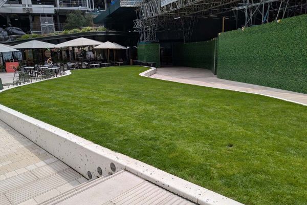 Give Seeds a Chance (Grass in the Park)