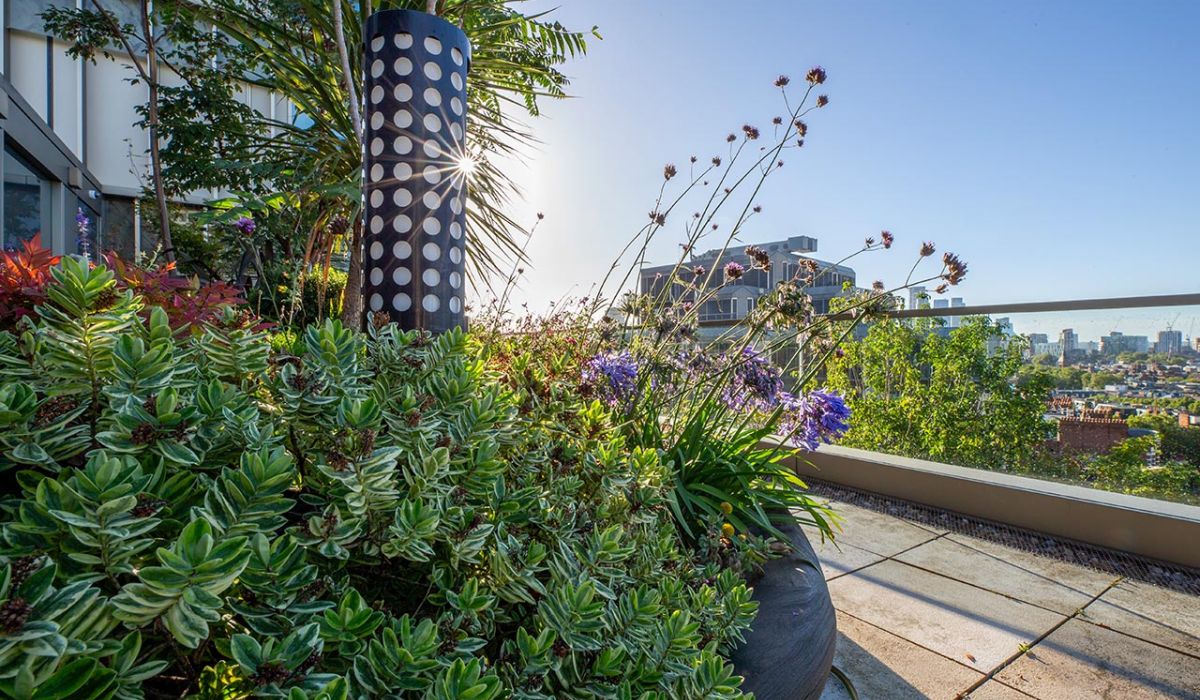 Landscape management