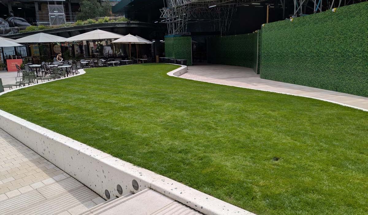 Give Seeds a Chance (Grass in the Park)