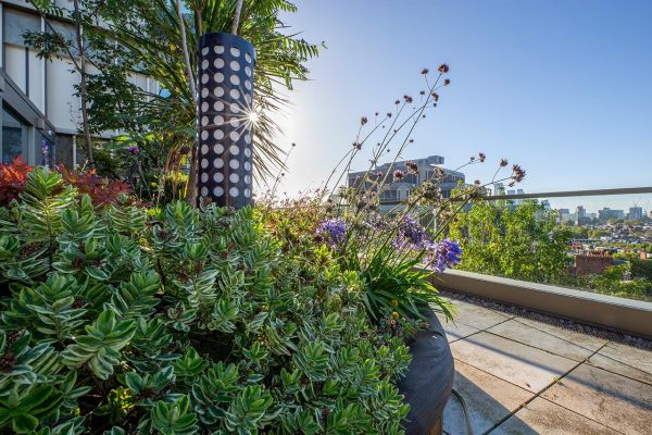 Landscape management
