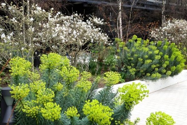 March Garden Preparation